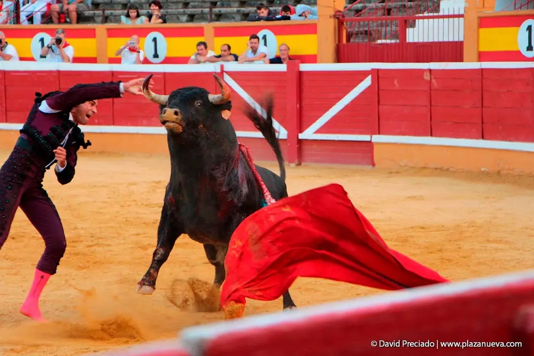Fiestas de Tudela &rsquo;19, d&iacute;a 28 - Corrida de toros con Finito de C&oacute;rdoba, L&oacute;pez Sim&oacute;n y To&ntilde;ete 29