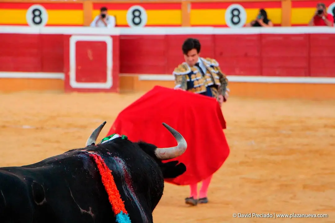 Fiestas de Tudela &rsquo;19, d&iacute;a 28 - Corrida de toros con Finito de C&oacute;rdoba, L&oacute;pez Sim&oacute;n y To&ntilde;ete 34