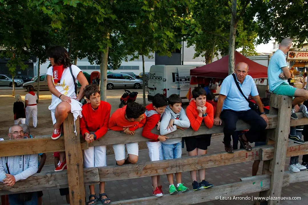 Fiestas de Tudela &rsquo;19, d&iacute;a 30 - Encierro y vacas en la plaza 3