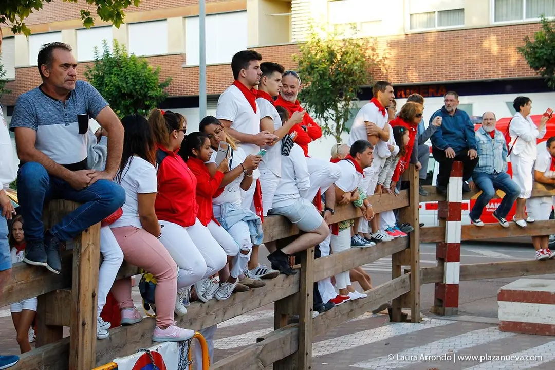 Fiestas de Tudela &rsquo;19, d&iacute;a 30 - Encierro y vacas en la plaza 4