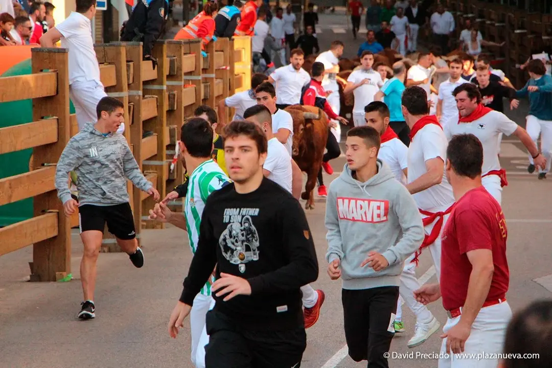 Fiestas de Tudela &rsquo;19, d&iacute;a 30 - Encierro y vacas en la plaza 6