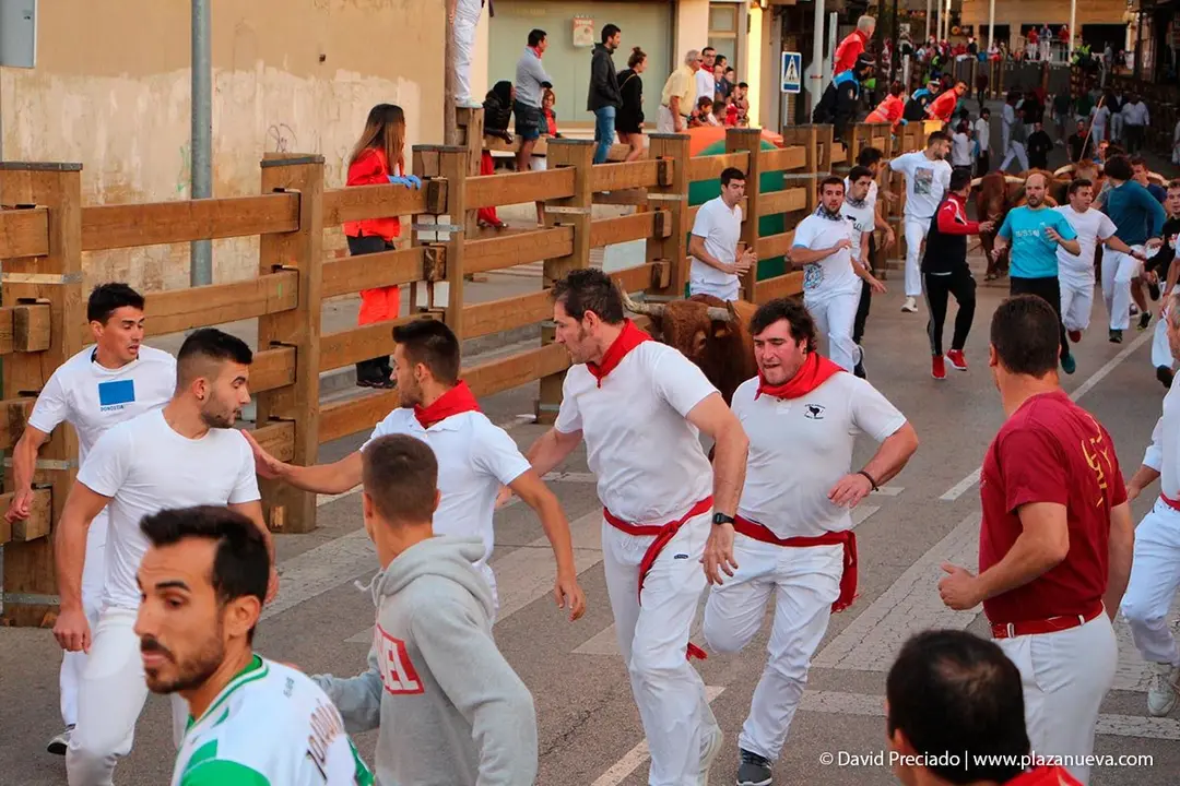 Fiestas de Tudela &rsquo;19, d&iacute;a 30 - Encierro y vacas en la plaza 7