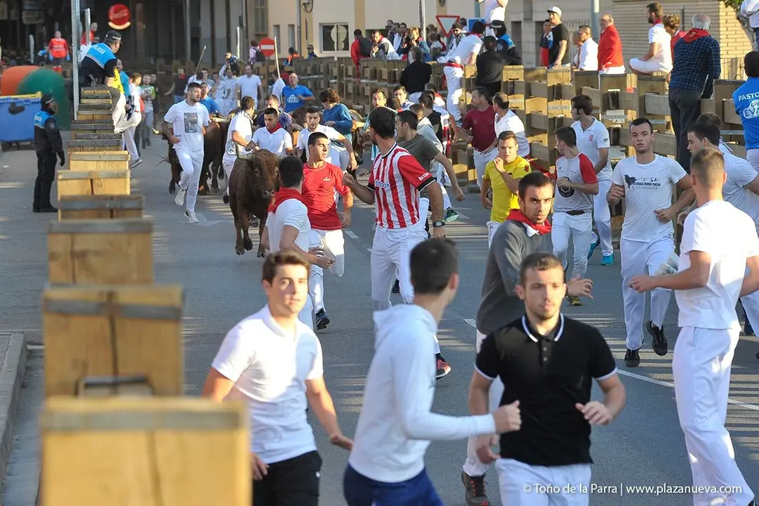 Fiestas de Tudela &rsquo;19, d&iacute;a 30 - Encierro y vacas en la plaza 12