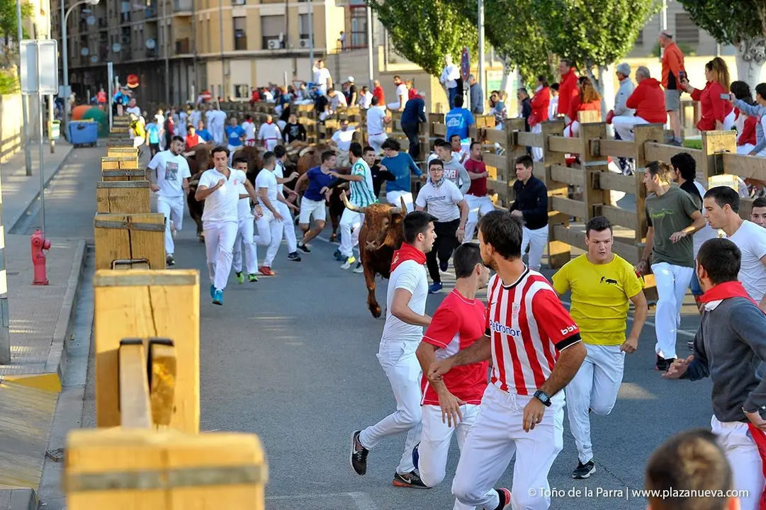 Fiestas de Tudela &rsquo;19, d&iacute;a 30 - Encierro y vacas en la plaza 13