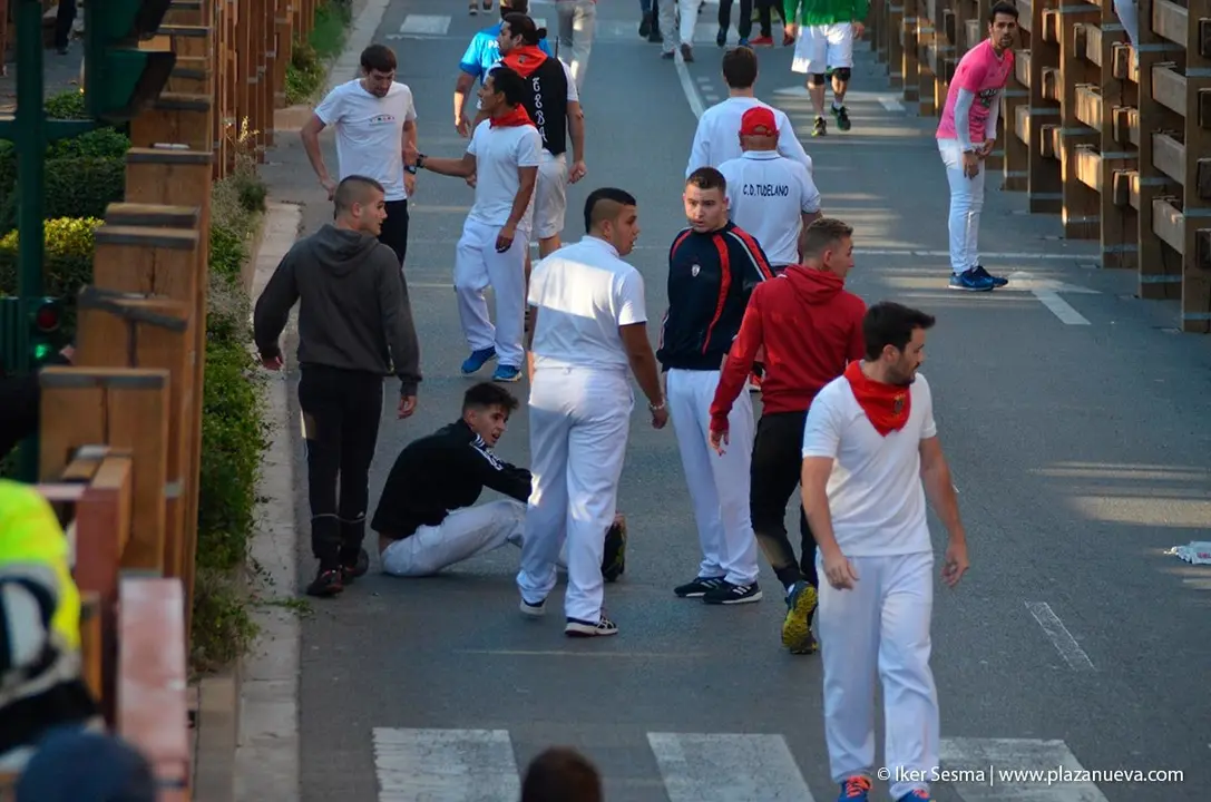 Fiestas de Tudela &rsquo;19, d&iacute;a 30 - Encierro y vacas en la plaza 23