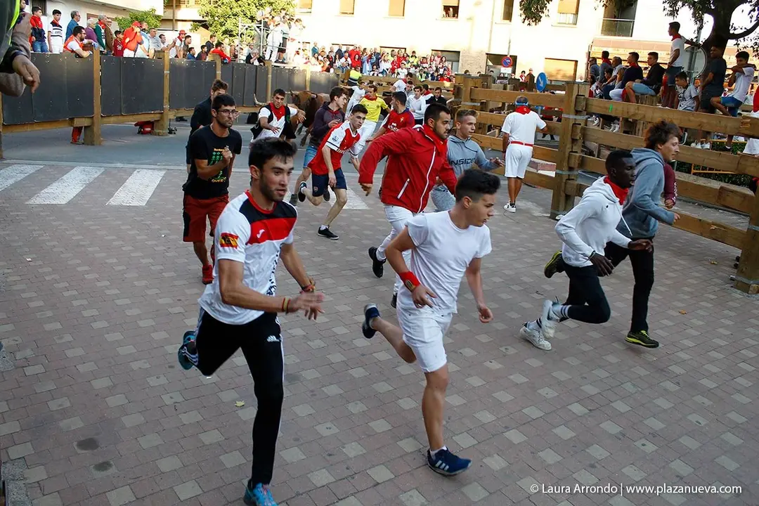 Fiestas de Tudela &rsquo;19, d&iacute;a 30 - Encierro y vacas en la plaza 24