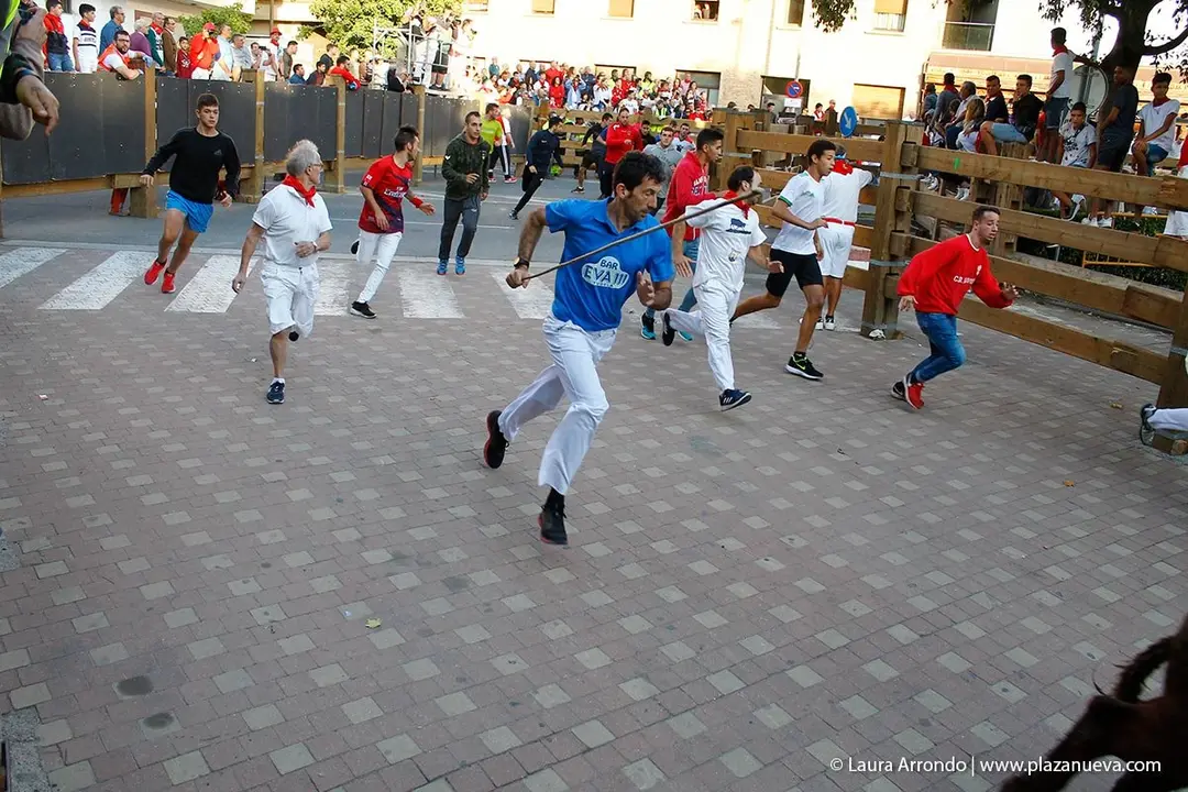 Fiestas de Tudela &rsquo;19, d&iacute;a 30 - Encierro y vacas en la plaza 29
