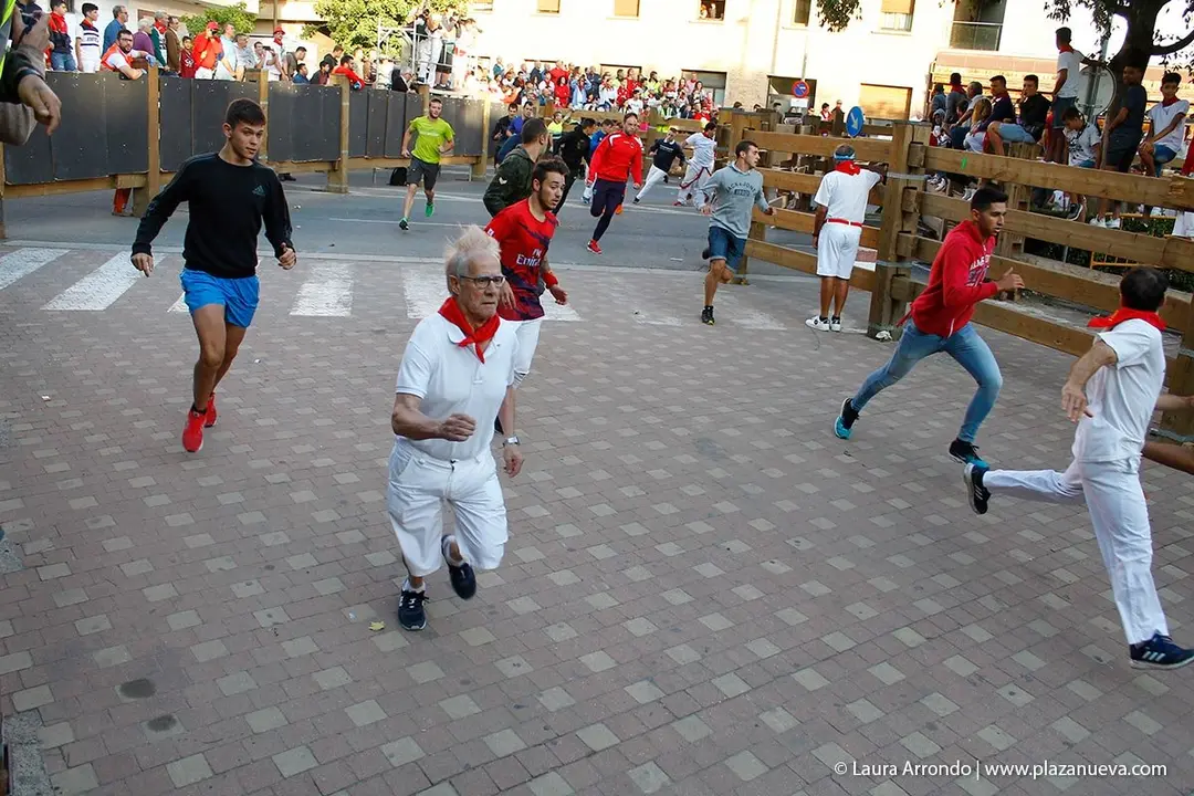 Fiestas de Tudela &rsquo;19, d&iacute;a 30 - Encierro y vacas en la plaza 30