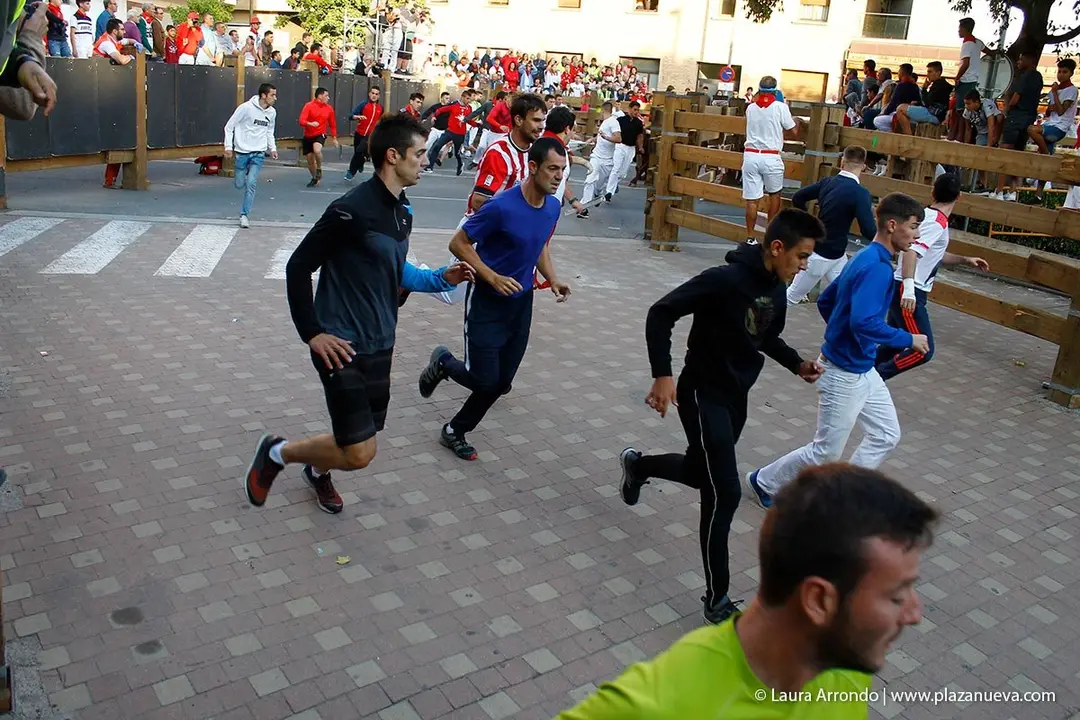 Fiestas de Tudela &rsquo;19, d&iacute;a 30 - Encierro y vacas en la plaza 31