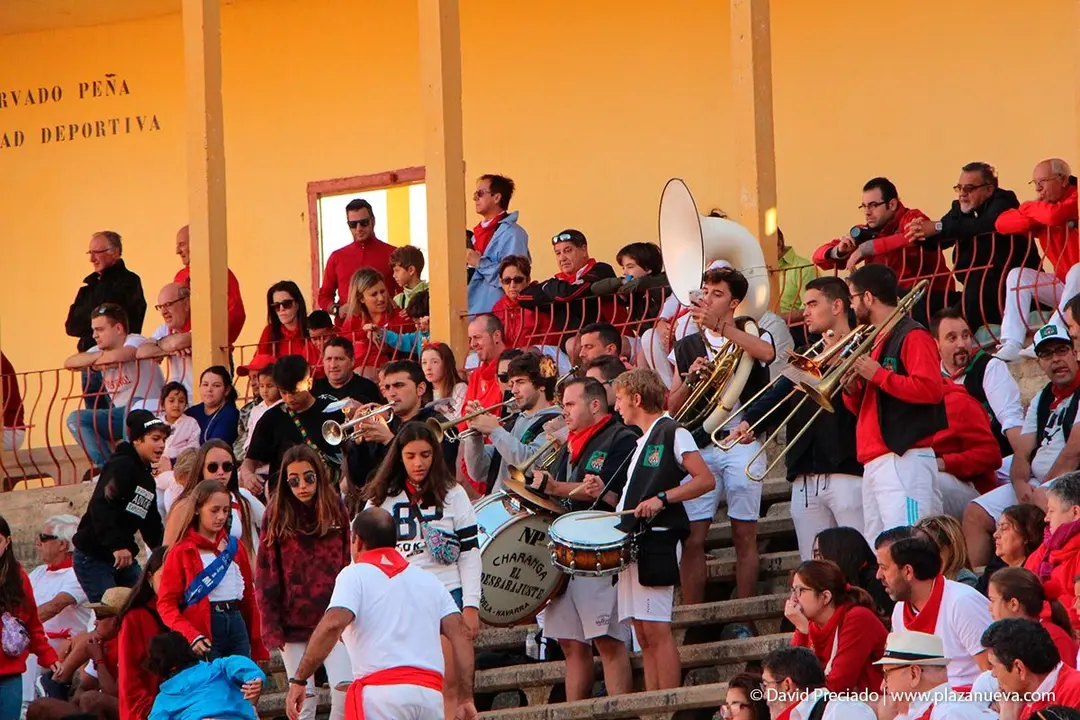 Fiestas de Tudela &rsquo;19, d&iacute;a 30 - Encierro y vacas en la plaza 53