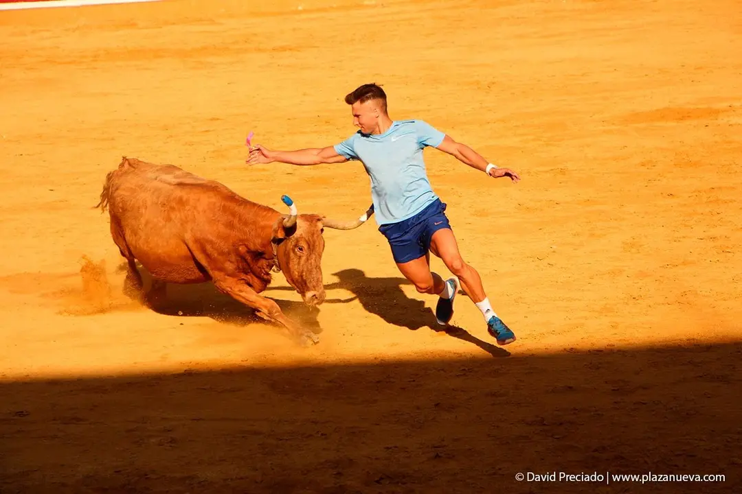 Fiestas de Tudela &rsquo;19, d&iacute;a 30 - Encierro y vacas en la plaza 64