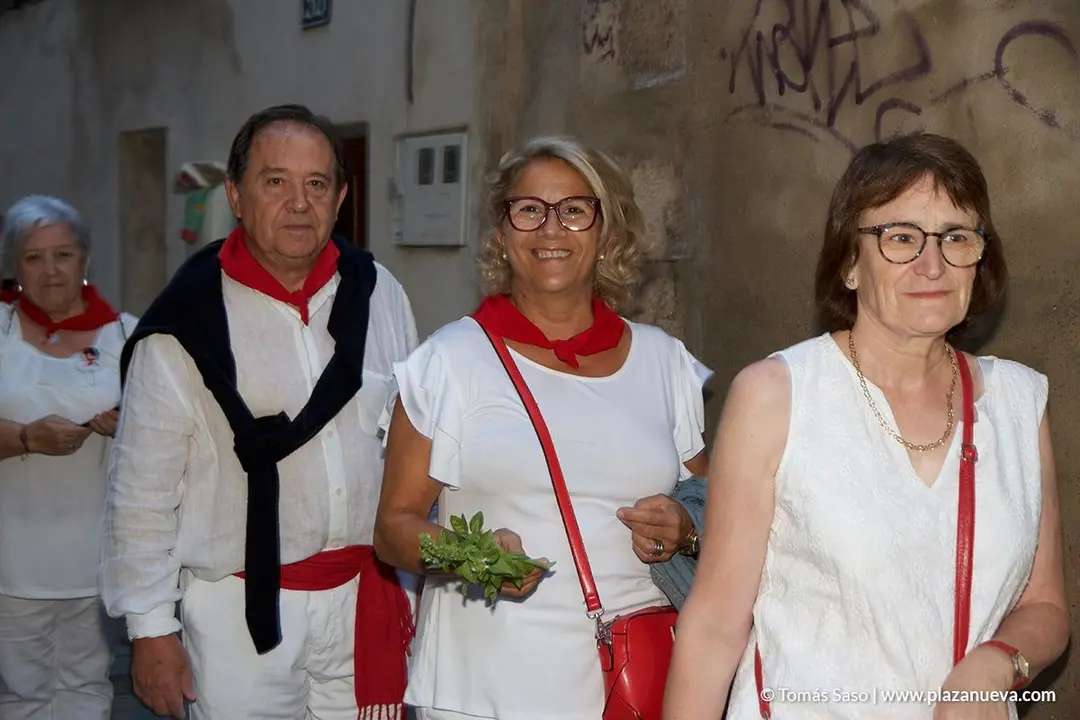 Procesiones de fiestas de Tudela - 7
