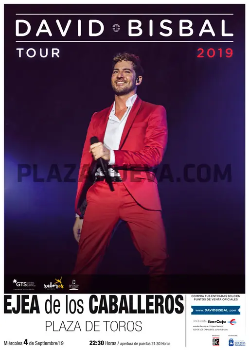 Concierto David Bisbal Ejea 2019