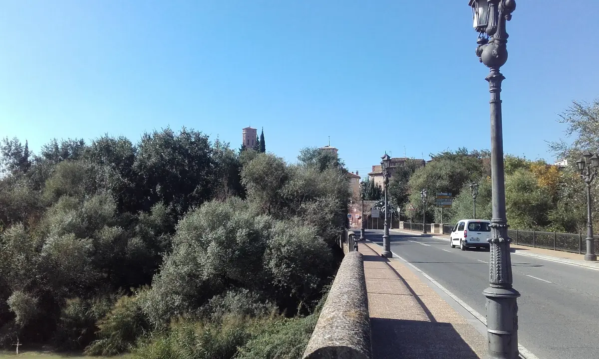 Puente del Ebro en Tudela