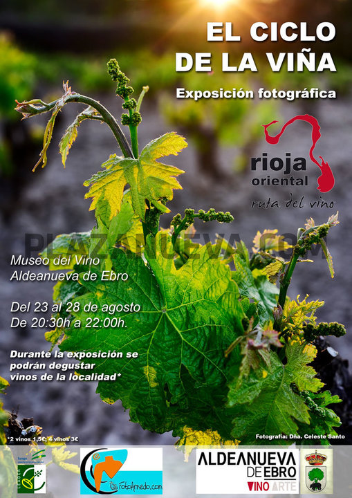El ciclo de la Viña Exposición fotográfica en Aldeanueva de Ebro
