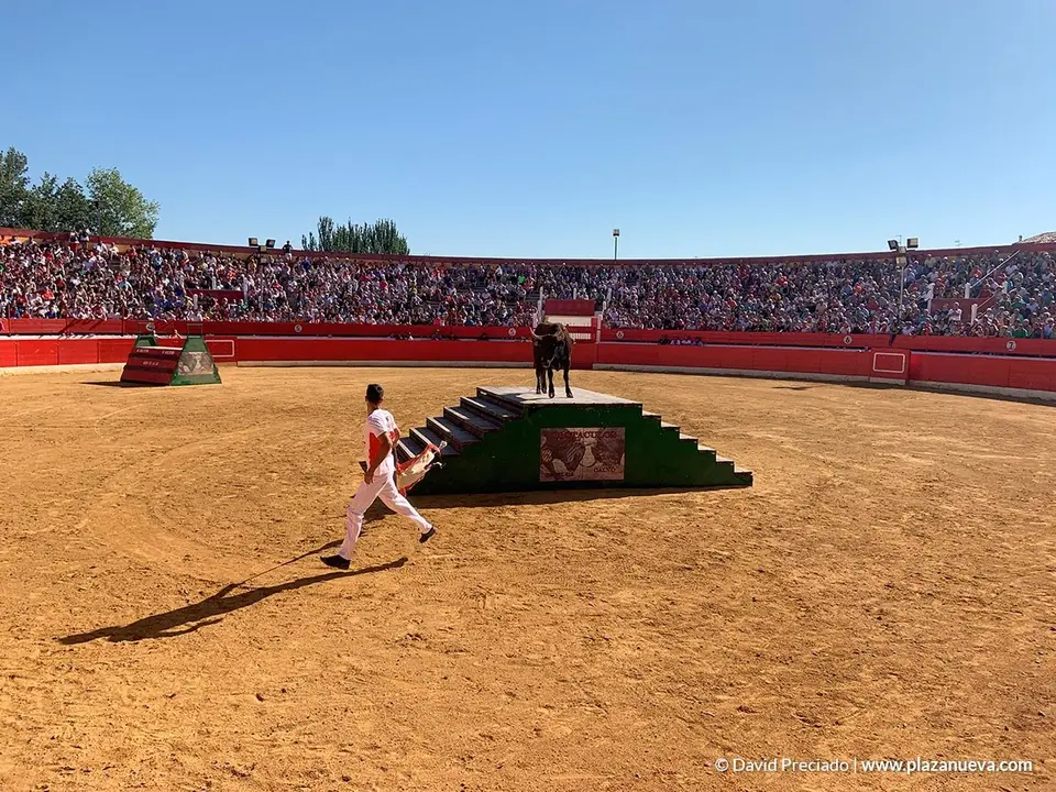 Fiestas de Alfaro'19 - 2
