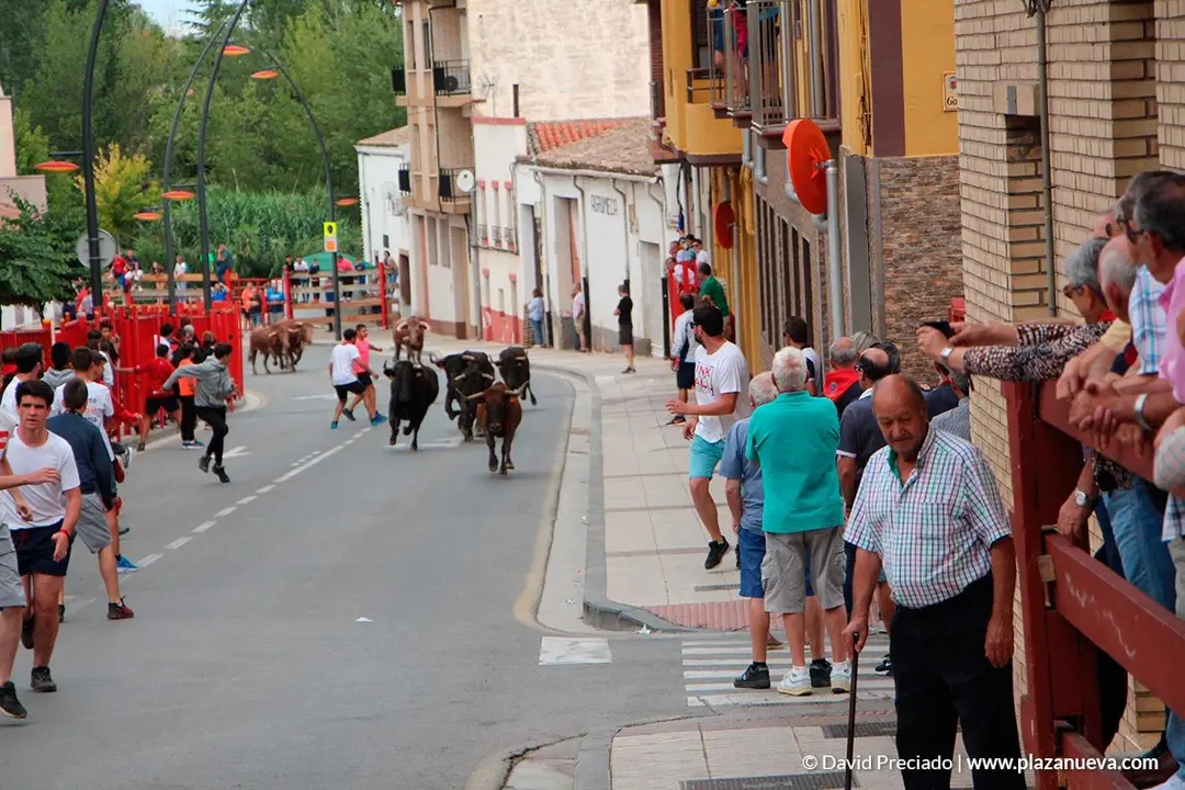 Fiestas de Alfaro'19 - 15