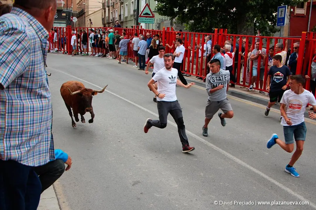 Fiestas de Alfaro'19 - 16