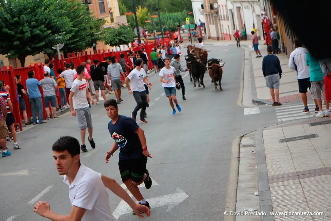 Fiestas de Alfaro'19 - 17