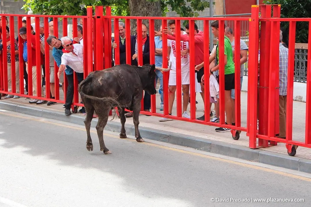 Fiestas de Alfaro'19 - 18