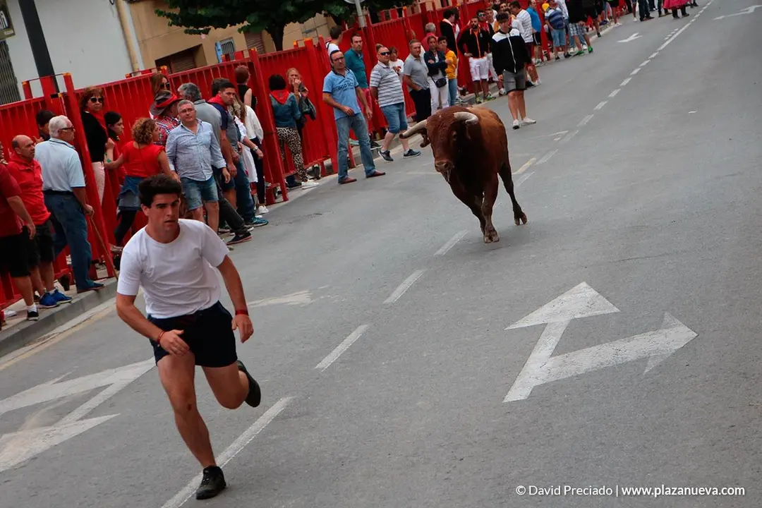Fiestas de Alfaro'19 - 19