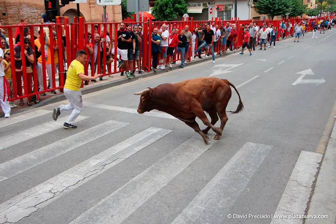 Fiestas de Alfaro'19 - 20