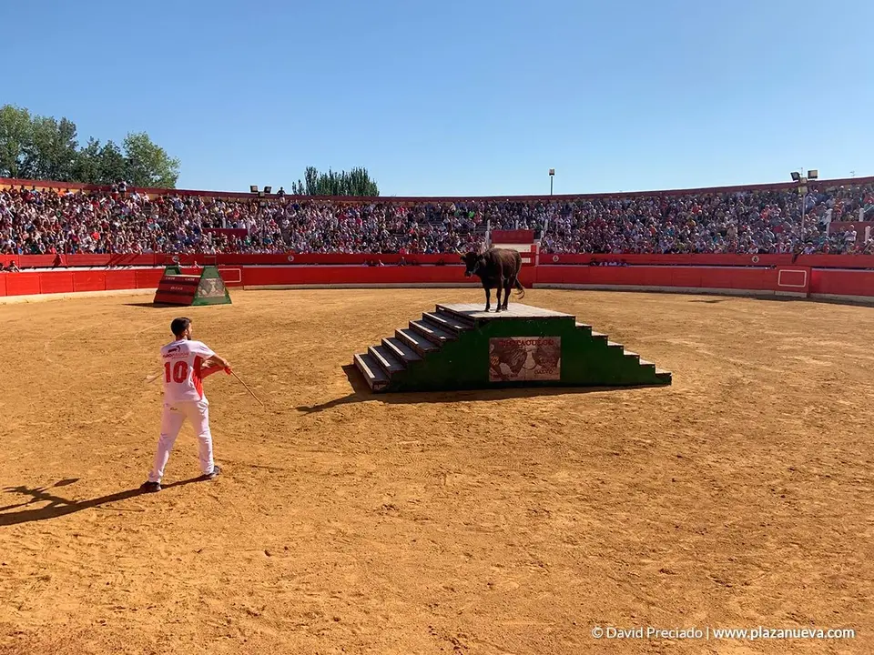 Fiestas de Alfaro'19 - 21