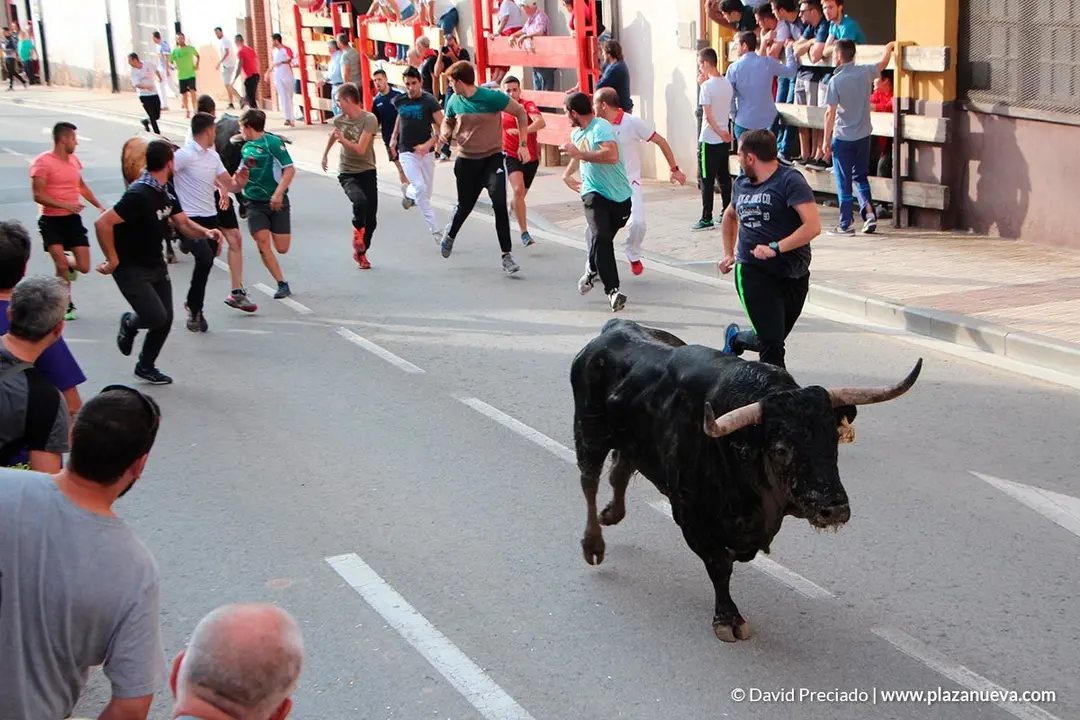 Fiestas de Alfaro'19 - 23