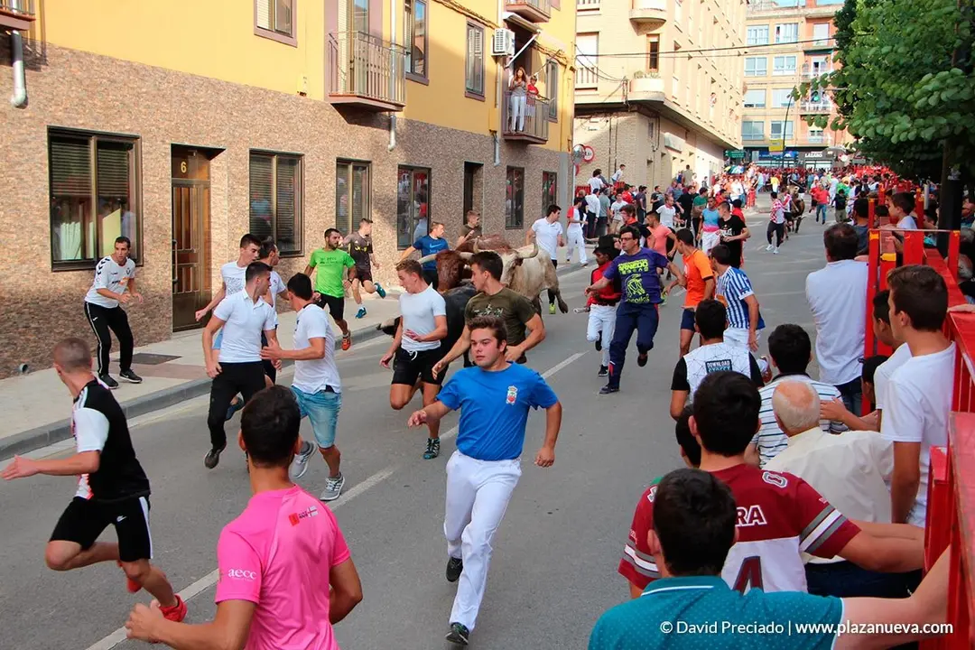 Fiestas de Alfaro'19 - 24