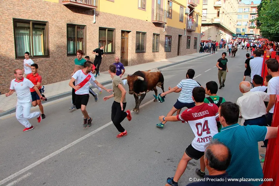 Fiestas de Alfaro'19 - 25