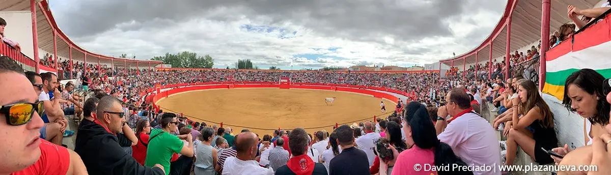 Fiestas de Alfaro'19 - 27