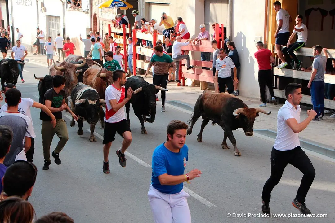 Fiestas de Alfaro'19 - 26