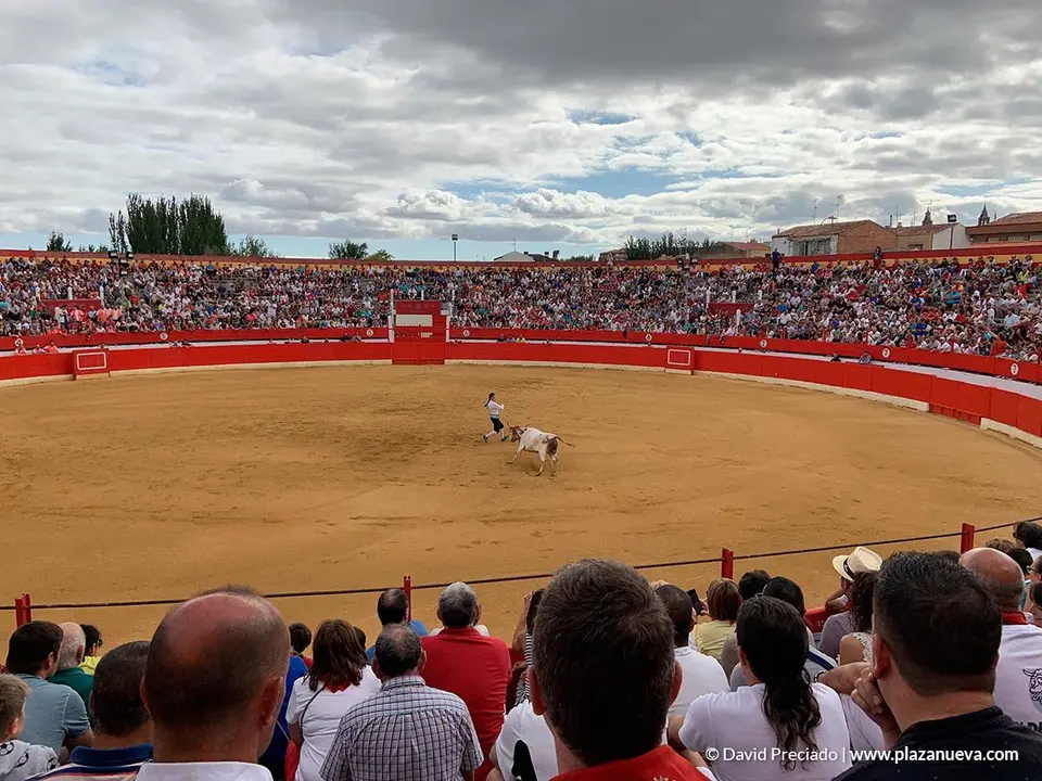 Fiestas de Alfaro'19 - 28