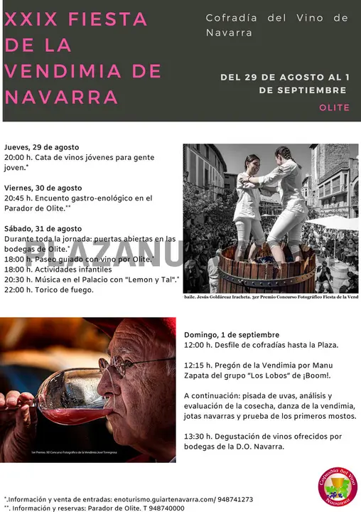 XXIX Fiesta de la Vendimia de Navarra en Olite