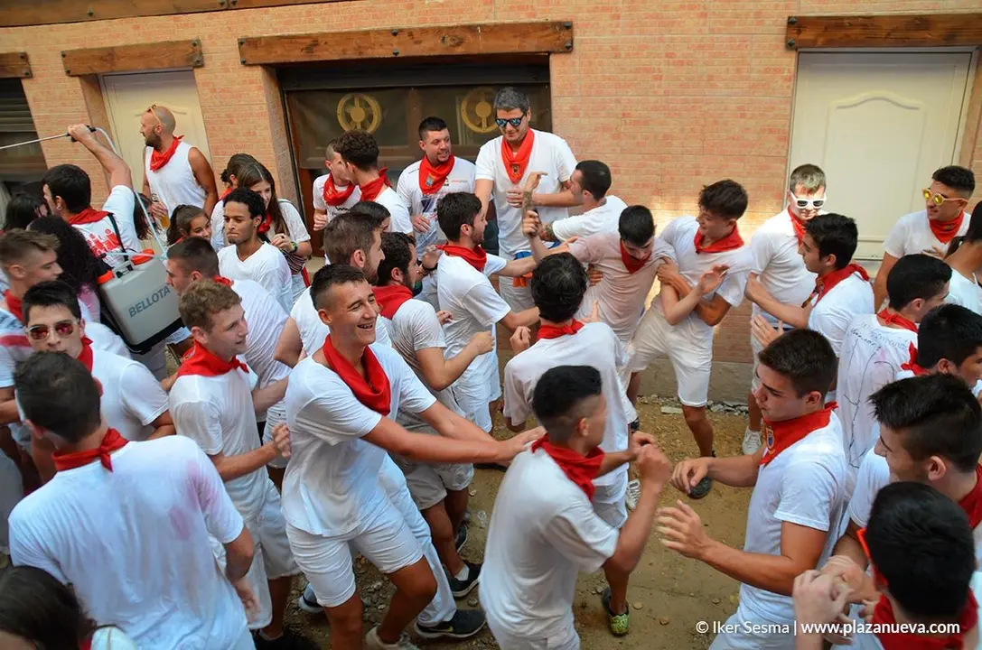 Fiestas de Marcilla'19 - 17