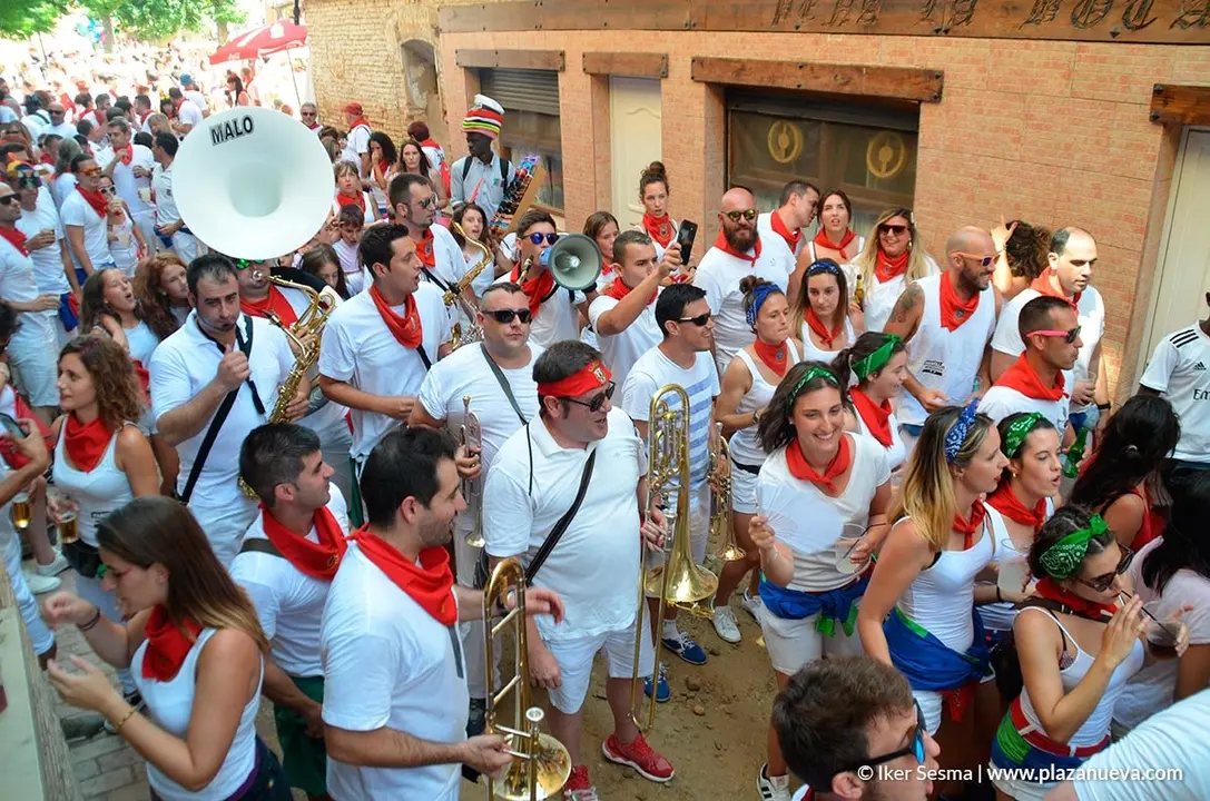 Fiestas de Marcilla'19 - 29