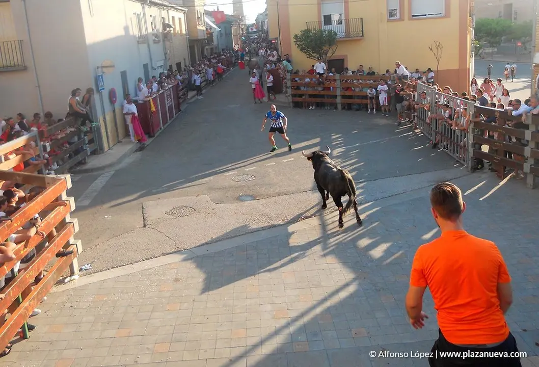 Fiestas de Ribaforada'19 - 48