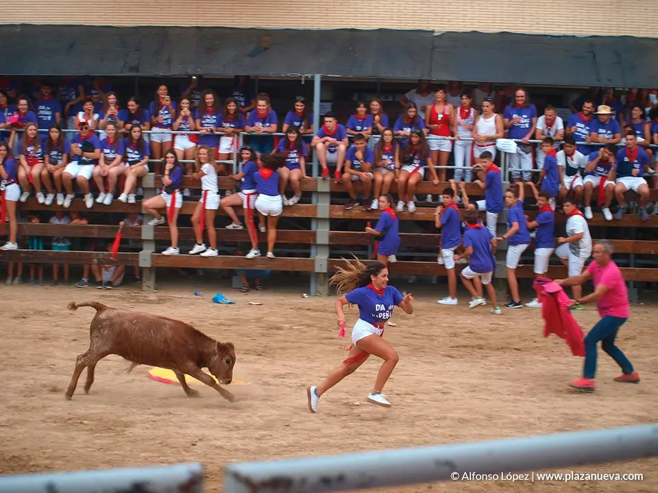 Fiestas de Ribaforada'19 - 70