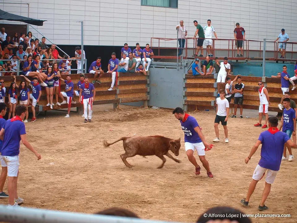Fiestas de Ribaforada'19 - 71