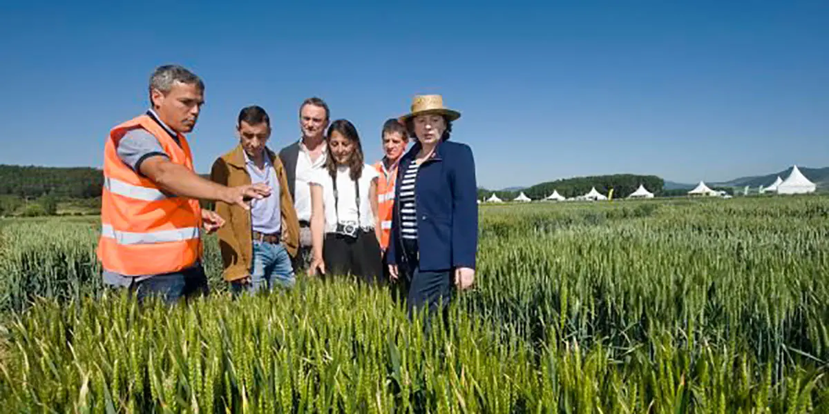 Visita a unos campos