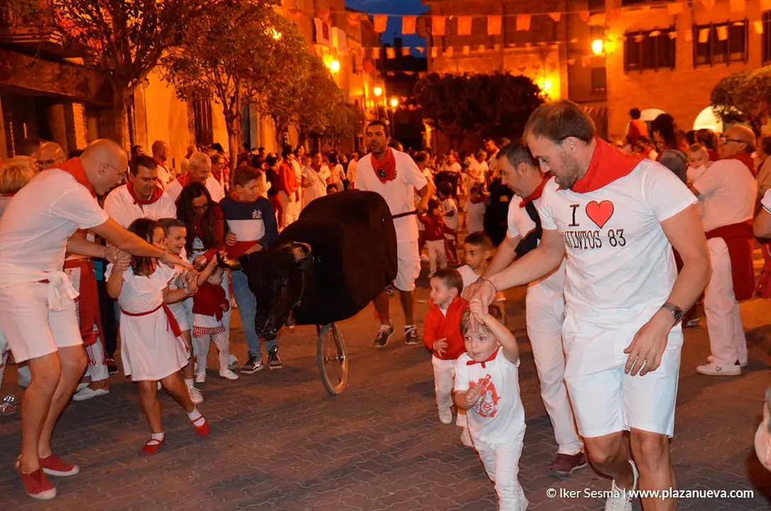 Encierro txiki en las fiestas de Cintru&eacute;nigo - 1