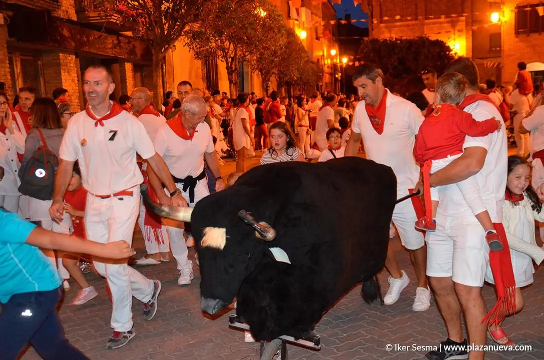 Encierro txiki en las fiestas de Cintru&eacute;nigo - 2