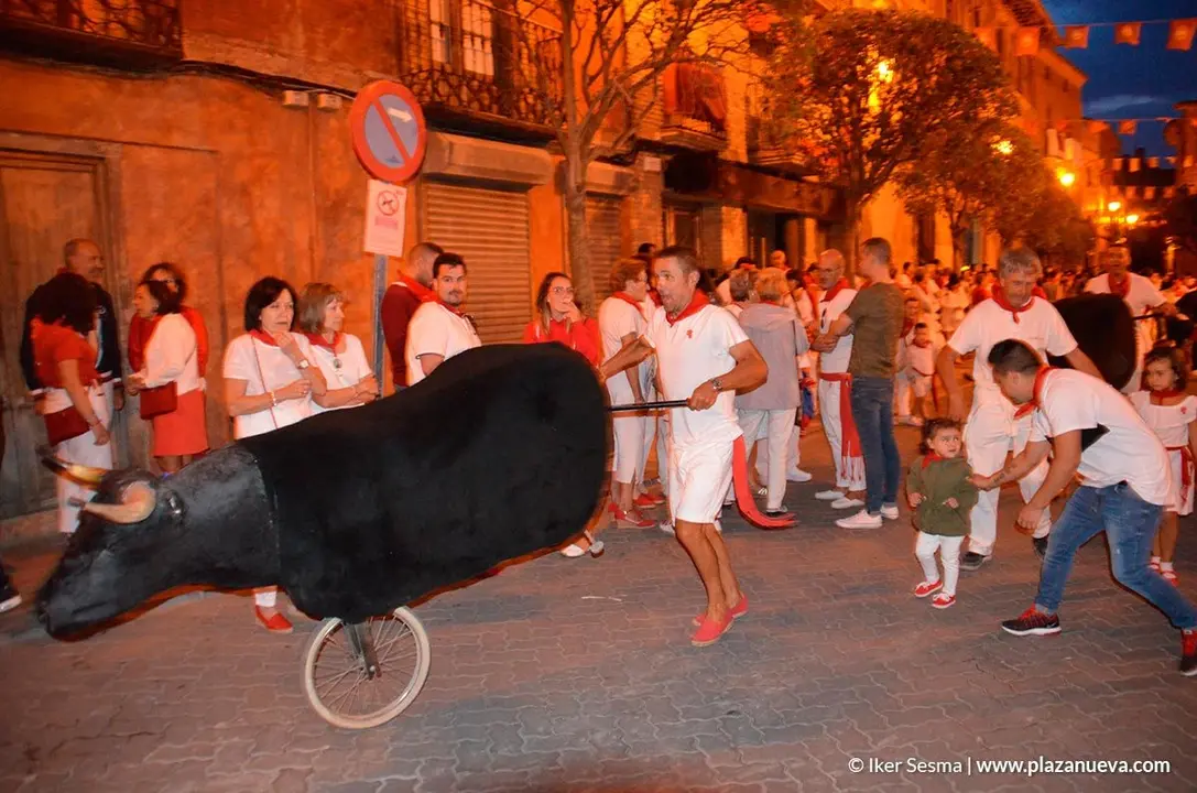 Encierro txiki en las fiestas de Cintru&eacute;nigo - 6
