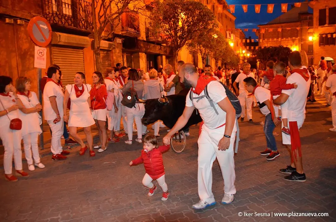 Encierro txiki en las fiestas de Cintru&eacute;nigo - 8
