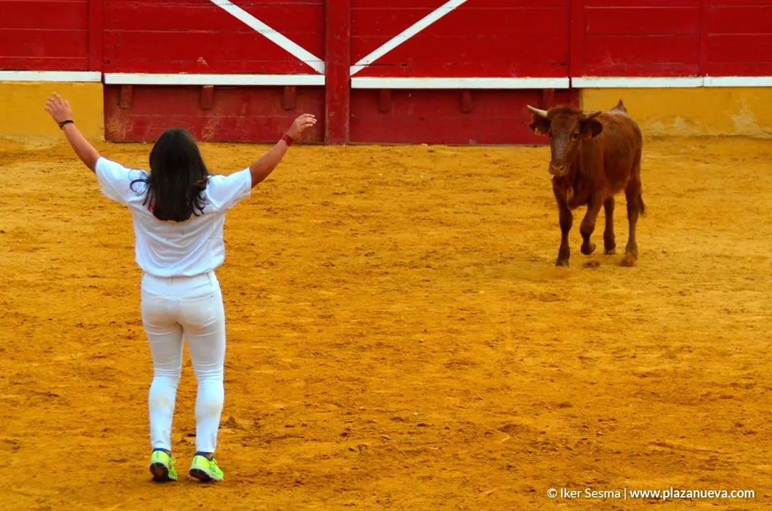 Recortadores en las fiestas de Cintru&eacute;nigo - 3
