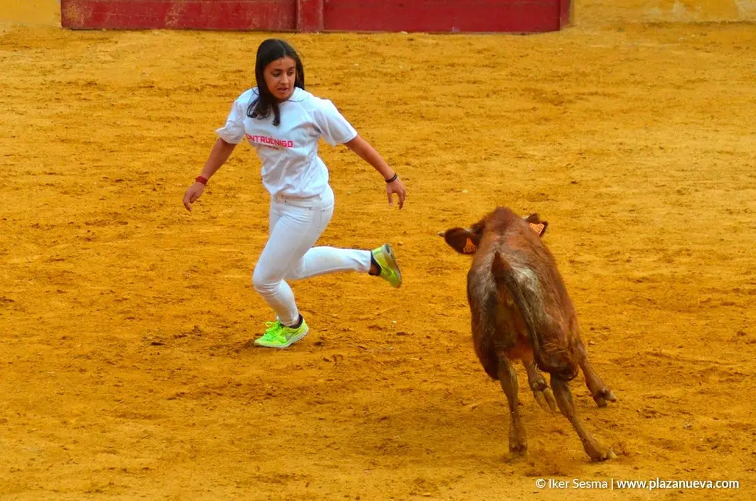 Recortadores en las fiestas de Cintru&eacute;nigo - 4
