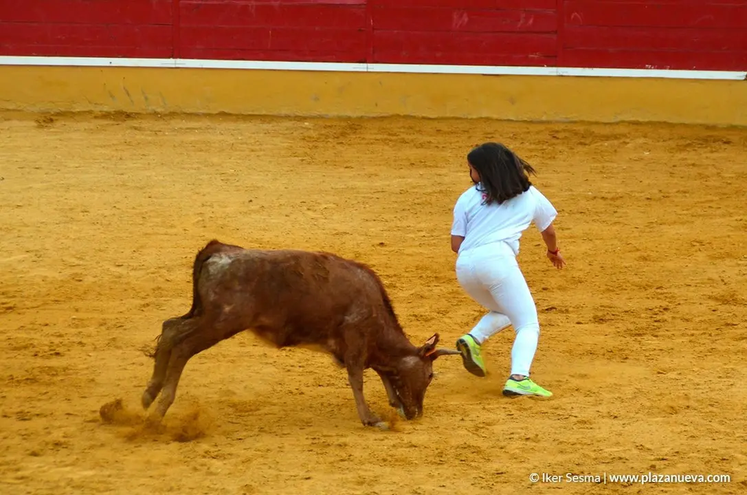 Recortadores en las fiestas de Cintru&eacute;nigo - 5