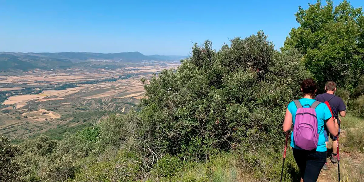La ruta entre Isuerre y Urriés permite contemplar bellas vistas del bosque cincovillés