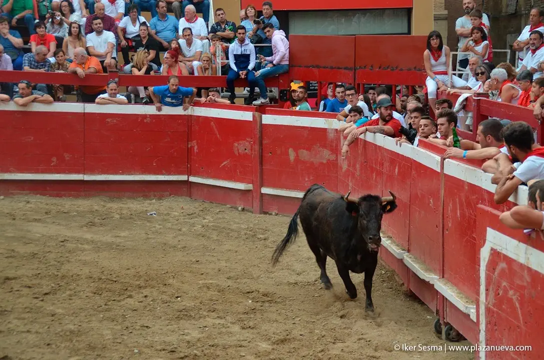 Fiestas de Villafranca &rsquo;19, parte 2 - 23