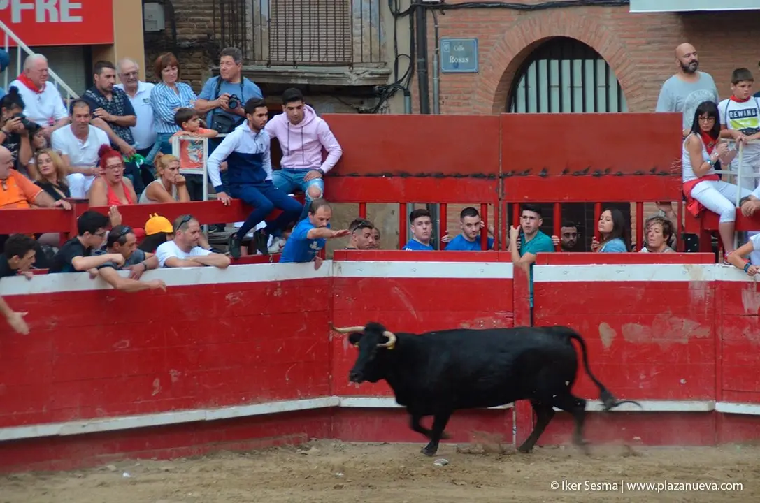 Fiestas de Villafranca &rsquo;19, parte 2 - 29
